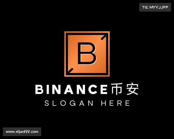 了解binance币安